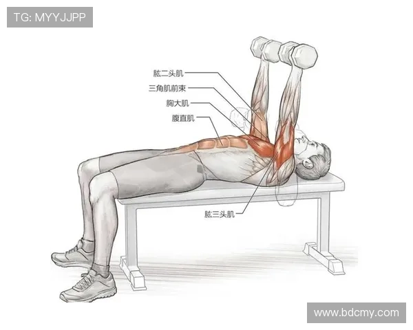 练胸肌买什么健身器材:专为胸部塑形的设备推荐 练胸肌买什么健身器材:专为胸部塑形的设备推荐