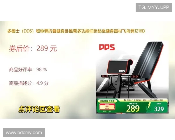 飞鸟健身设备全解析从新手到进阶训练指南 飞鸟健身设备全解析从新手到进阶训练指南