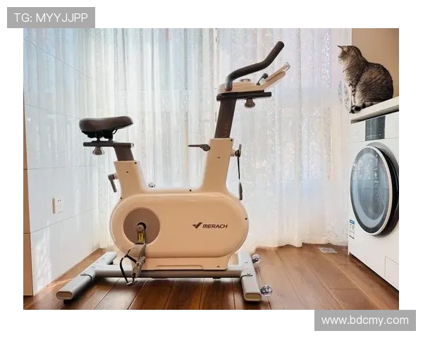 高效燃脂瘦手臂必备的健身器材推荐清单 高效燃脂瘦手臂必备的健身器材推荐清单