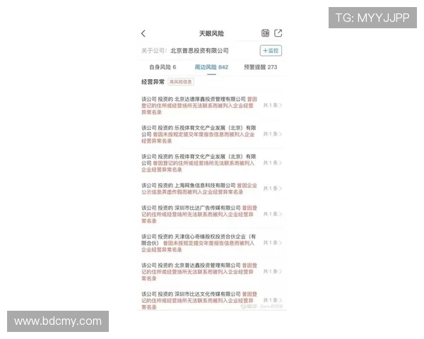 曾被私人或企业收购的德甲球队及股权结构分析